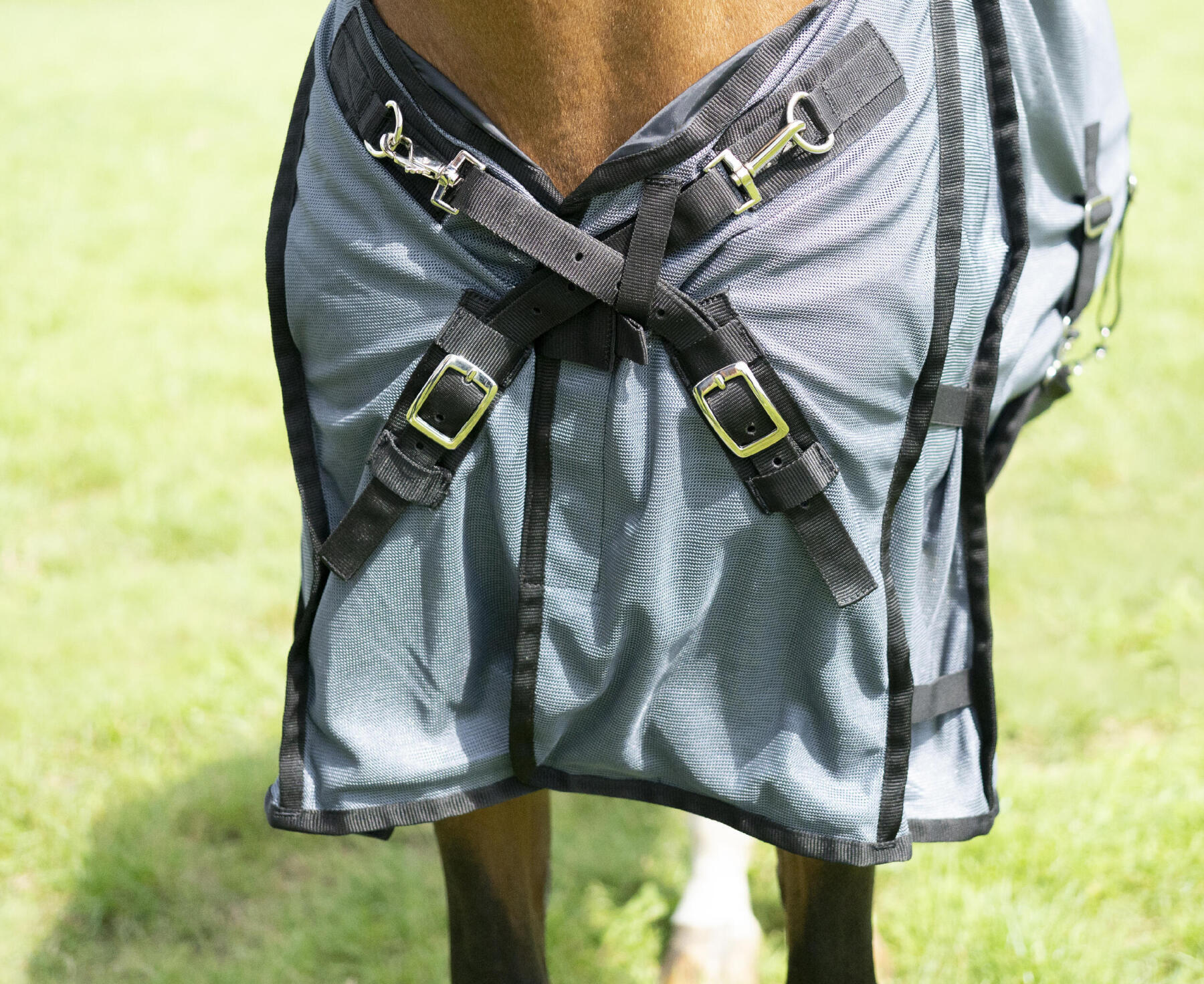 Détail d'une couverture anti-moustique portée par un cheval au pré, avec une fermeture en croix au niveau du poitrail pour une meilleure liberté de mouvement