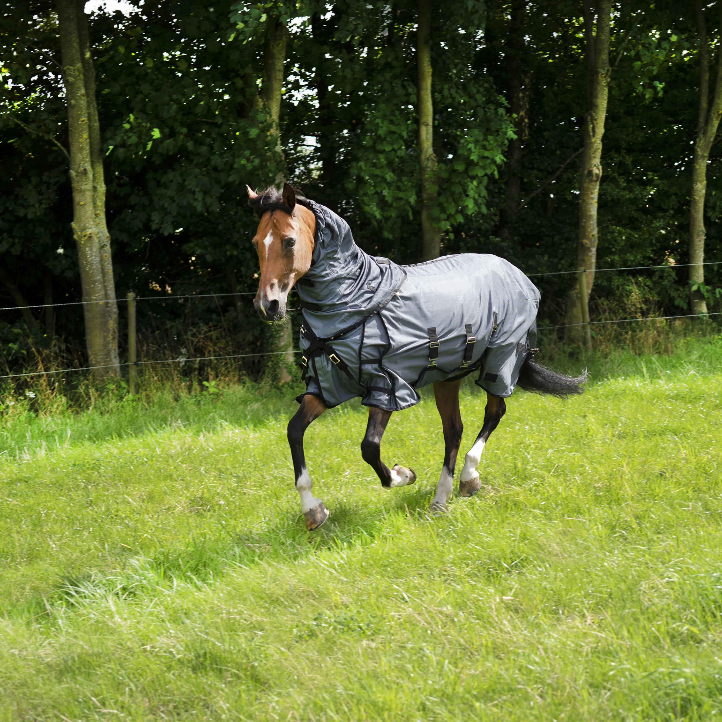 FOUGANZA Horse Riding Fly Sheet for Horse & Pony Comfort - Asphalt Grey