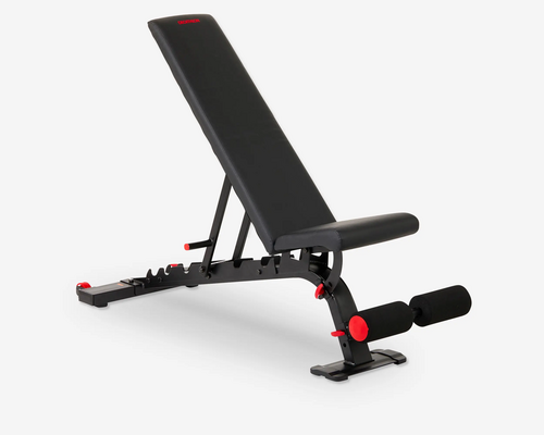 BANCO DE MUSCULAÇÃO BENCH 900
