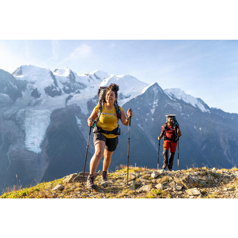 1 Wanderstock Trekking präzise Schnellverstellung Bergwandern - MT500 grau