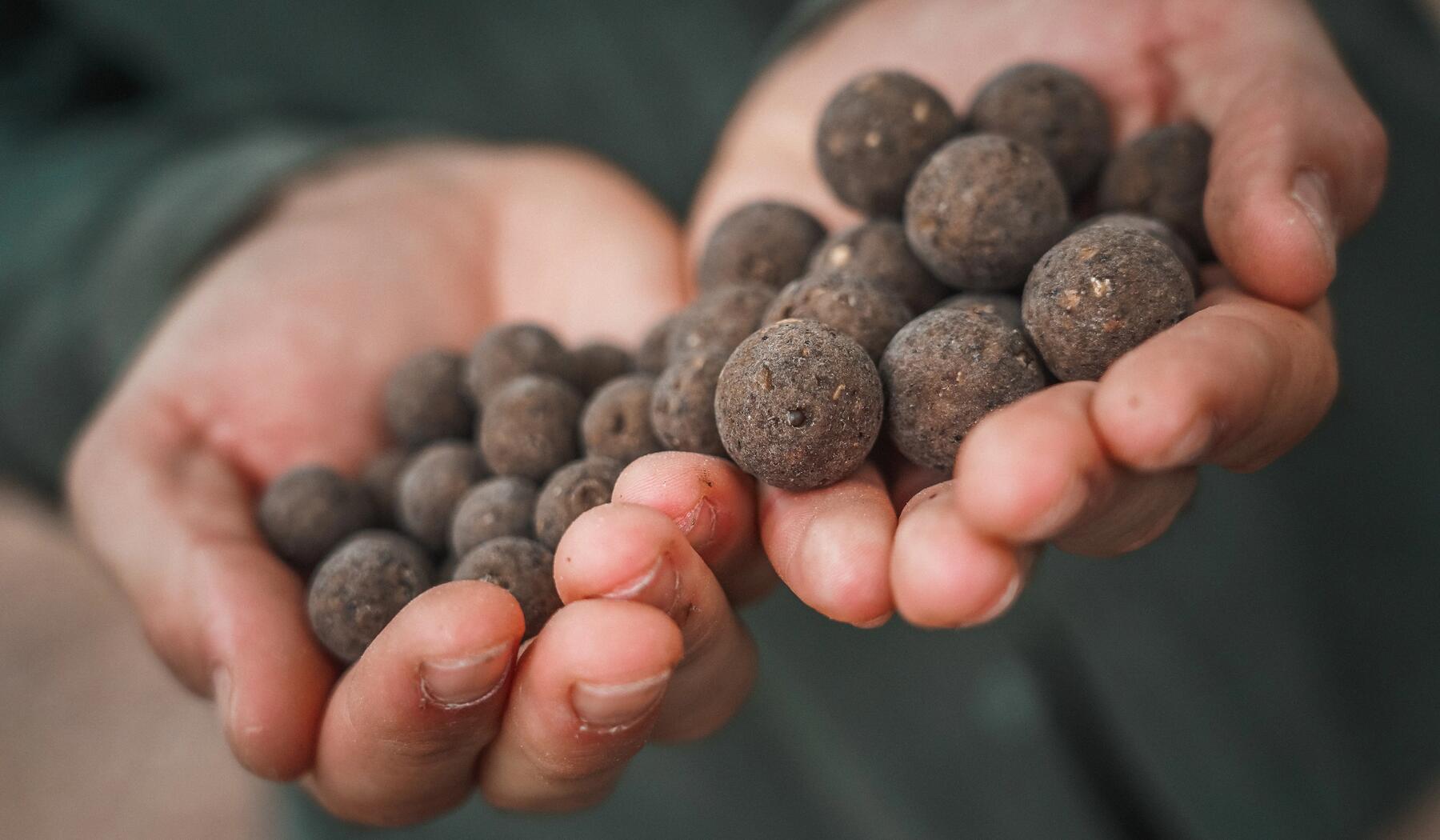 boilies densos