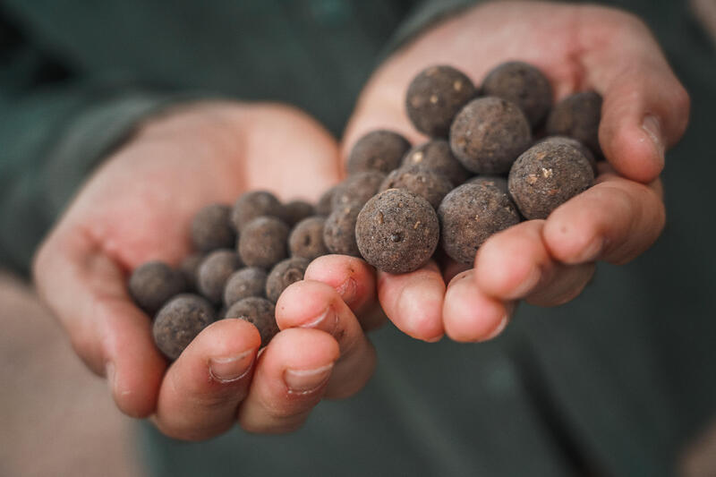 Come scegliere l'innesco giusto per il carpfishing?