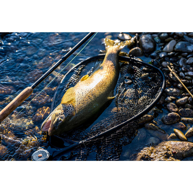 Canna pesca al tocco RIVERWAY T900 3,50
