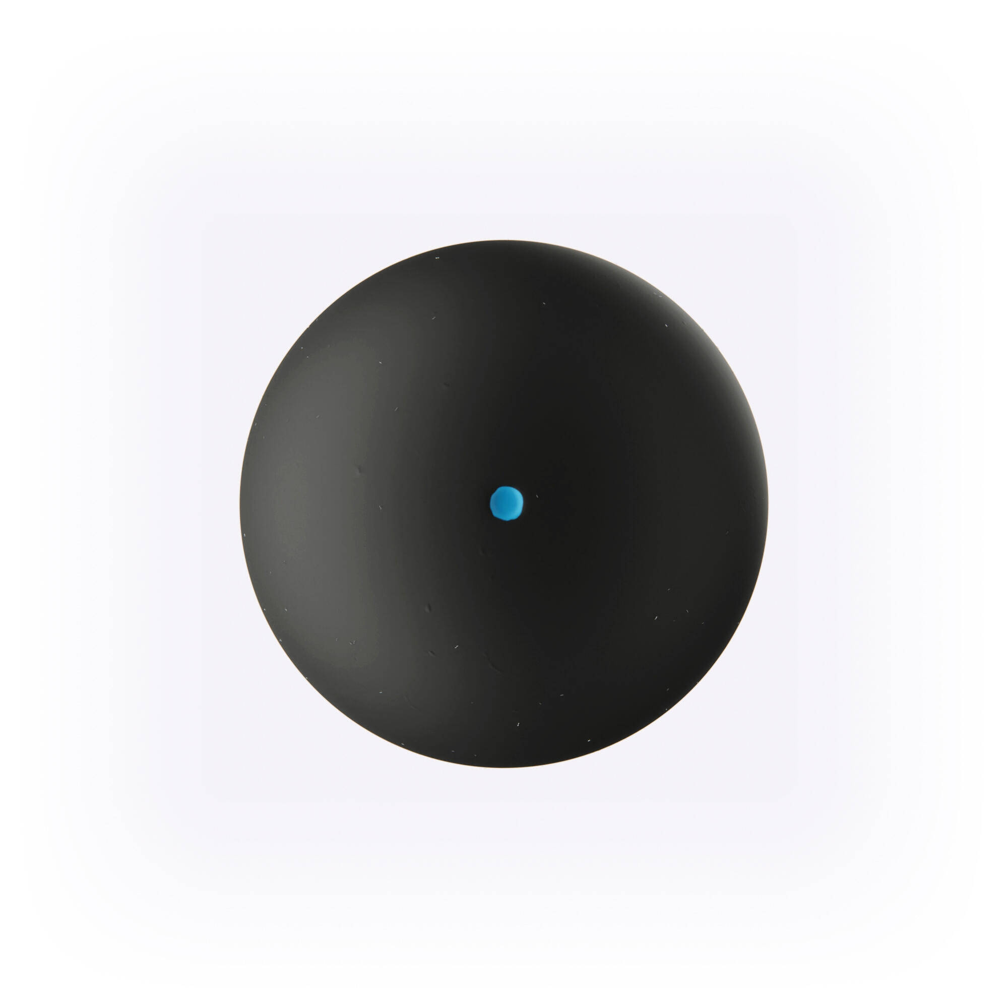 Squash Ball x2 SB190 Blue Dot -  2