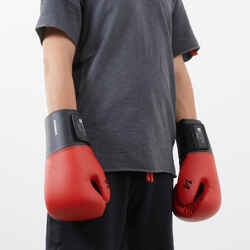 Boxing Gloves 100 - Red