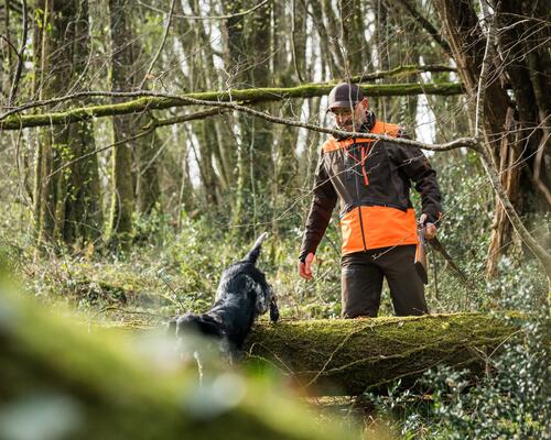 Des idées cadeaux pour les bécassiers et chasseurs de gibier au bois
