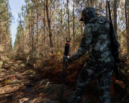 chasse à l'approche