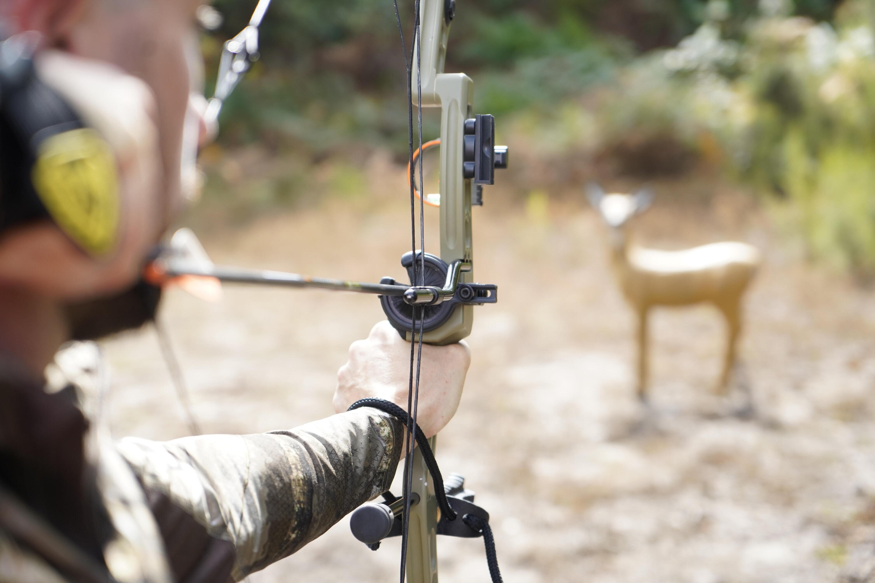 Kit arc à poulie de cible et de chasse 500 kaki droitier 17/19