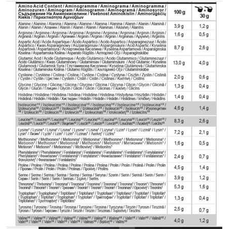 Whey Protein 500g - Chocolate