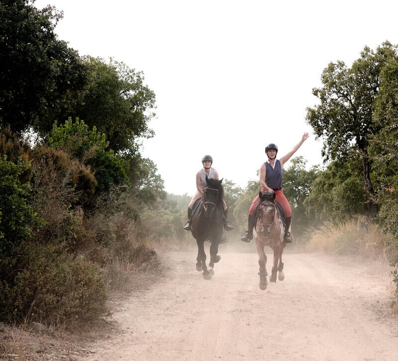SEJOUR EQUESTRE