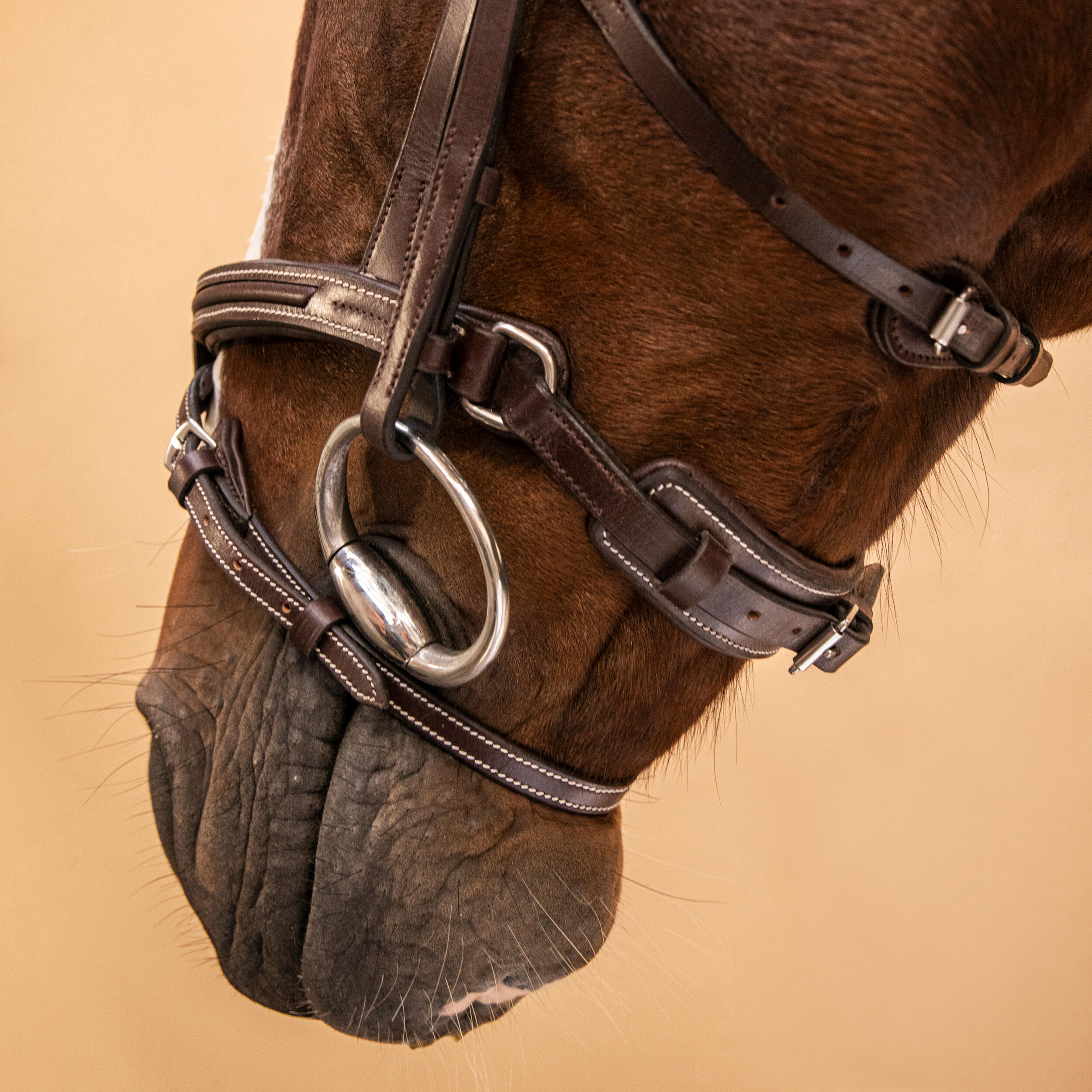 Horse & Pony Leather Bridle With French Noseband - 900 Brown