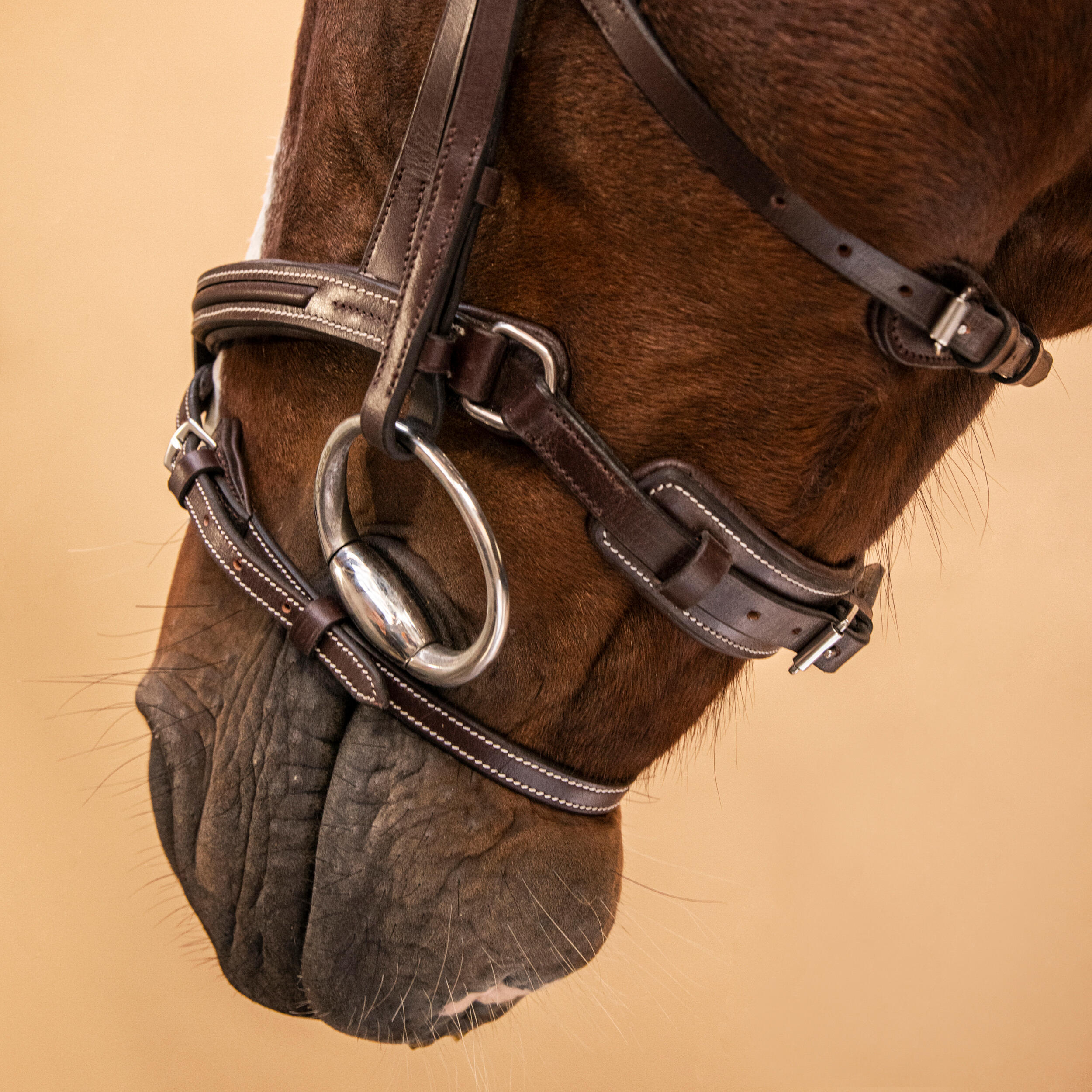 Horse & Pony Leather Bridle With French Noseband - 900 Brown 8/8