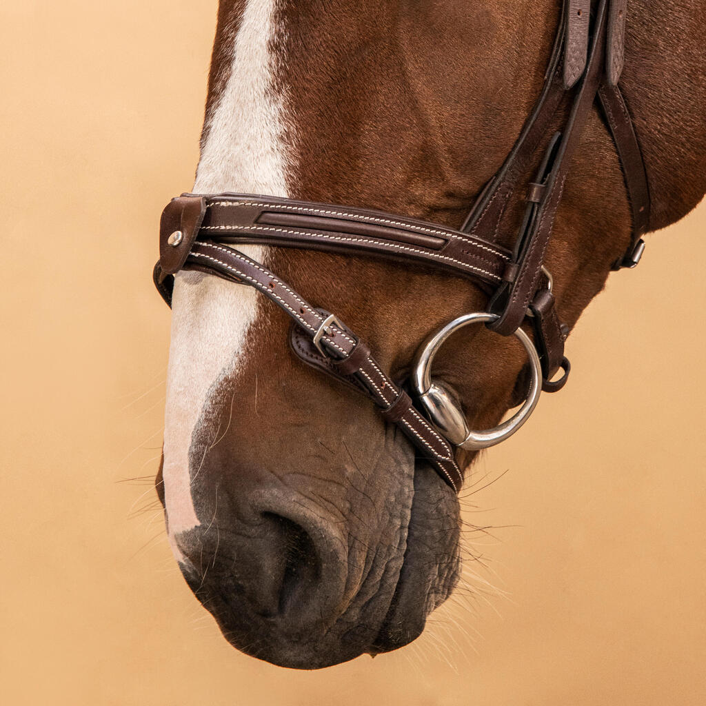 Zirgu jāšanas ādas iemaukti ar franču deguna siksnu “900”, tumši brūni