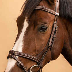 Horse Riding Leather Bridle With French Noseband for Horse & Pony 900 - Dark Brown