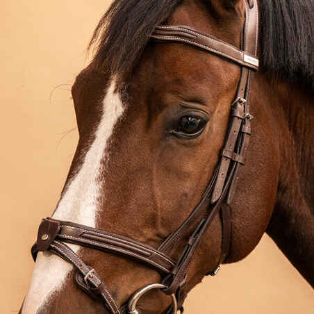 Horse Riding Leather Bridle With French Noseband for Horse & Pony 900 - Dark Brown