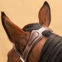 Horse Riding Leather Bridle With French Noseband for Horse & Pony 900 - Dark Brown