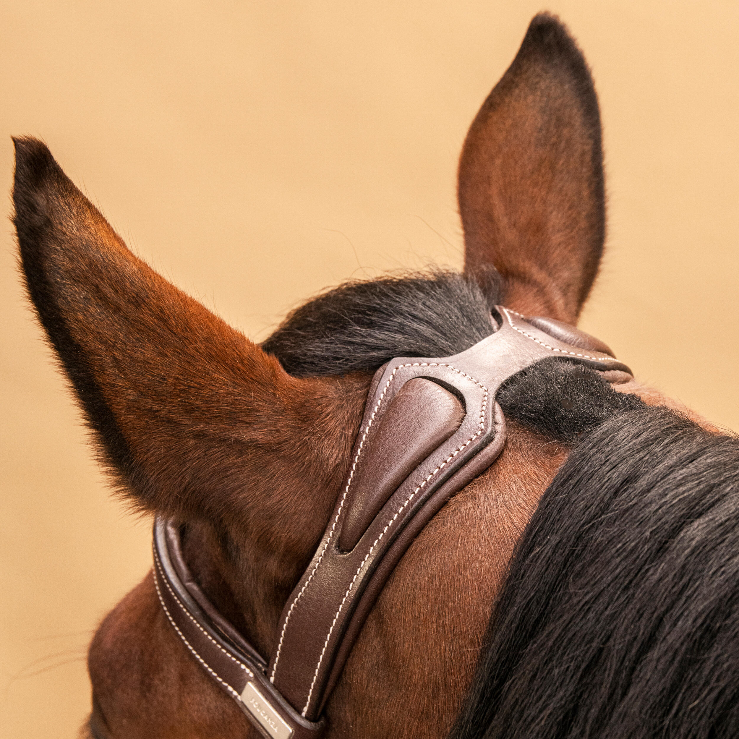 Horse & Pony Leather Bridle With French Noseband - 900 Brown