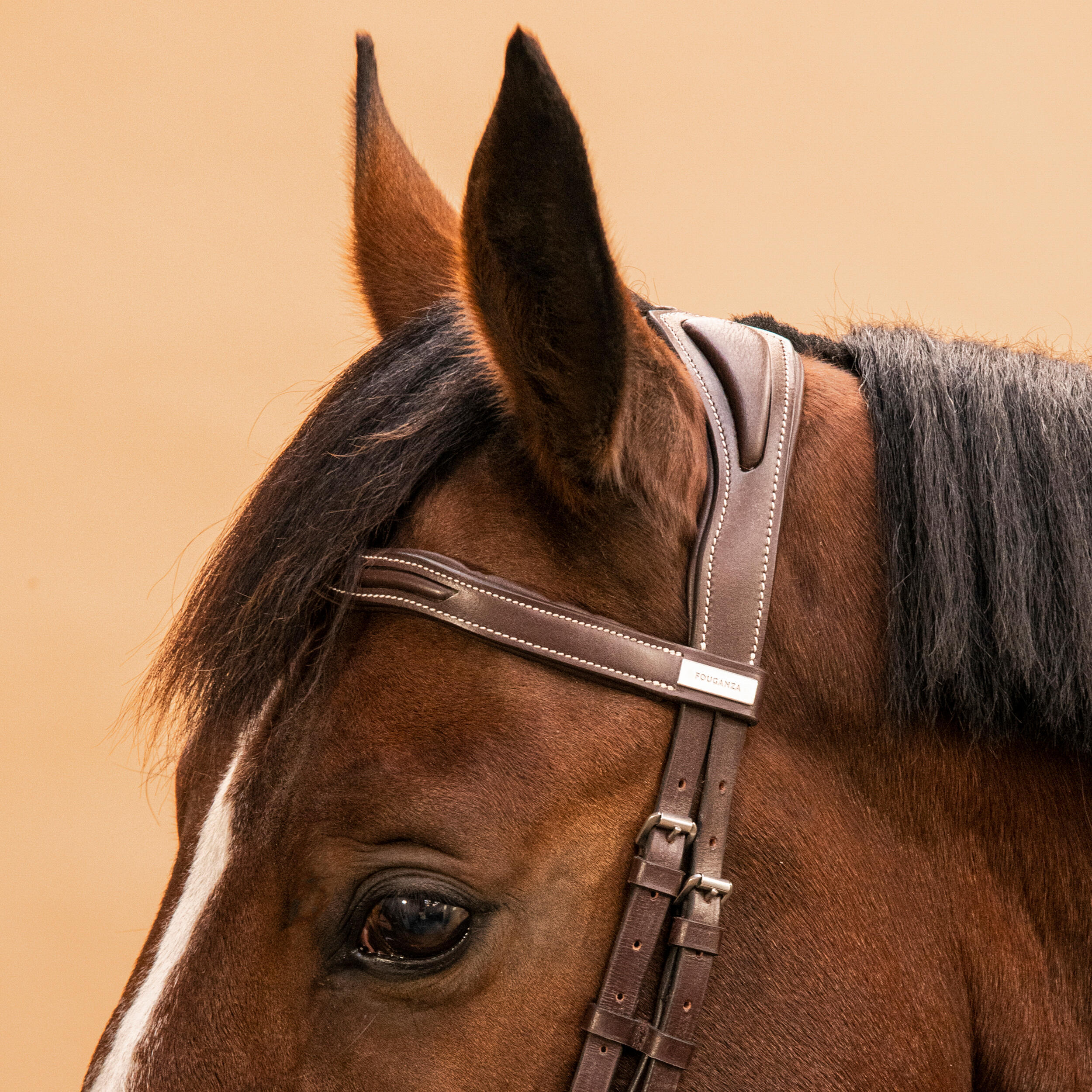 Horse & Pony Leather Bridle With French Noseband - 900 Brown 4/8