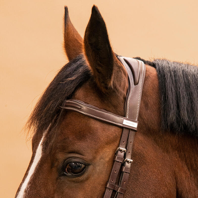 Filet équitation cuir muserolle française Cheval et Poney - 900 marron foncé