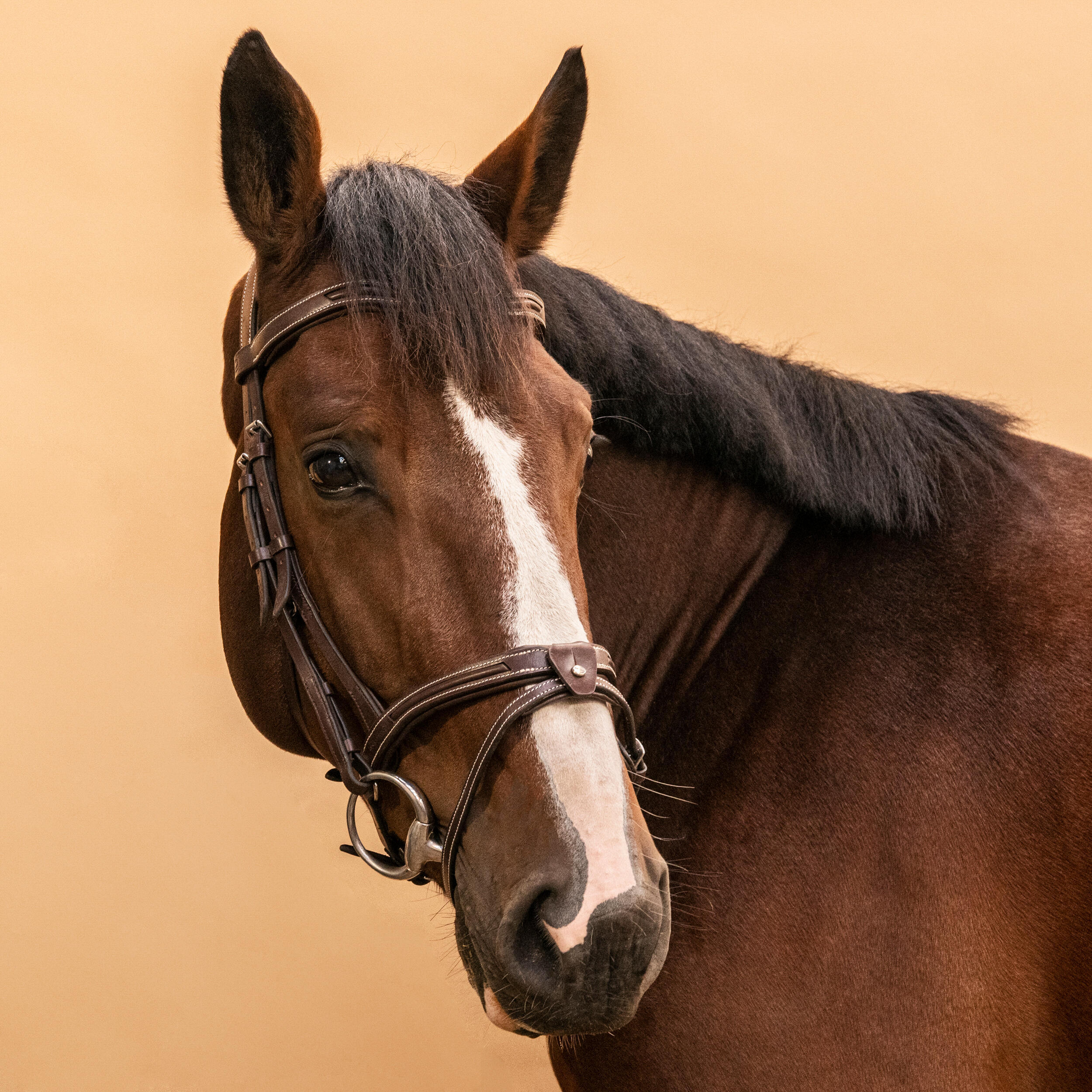 Horse & Pony Leather Bridle With French Noseband - 900 Brown 3/8
