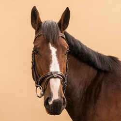 Horse & Pony Leather Bridle With French Noseband 900 - Dark Brown