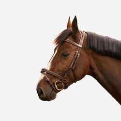 Horse & Pony Leather Bridle With French Noseband 900 - Dark Brown