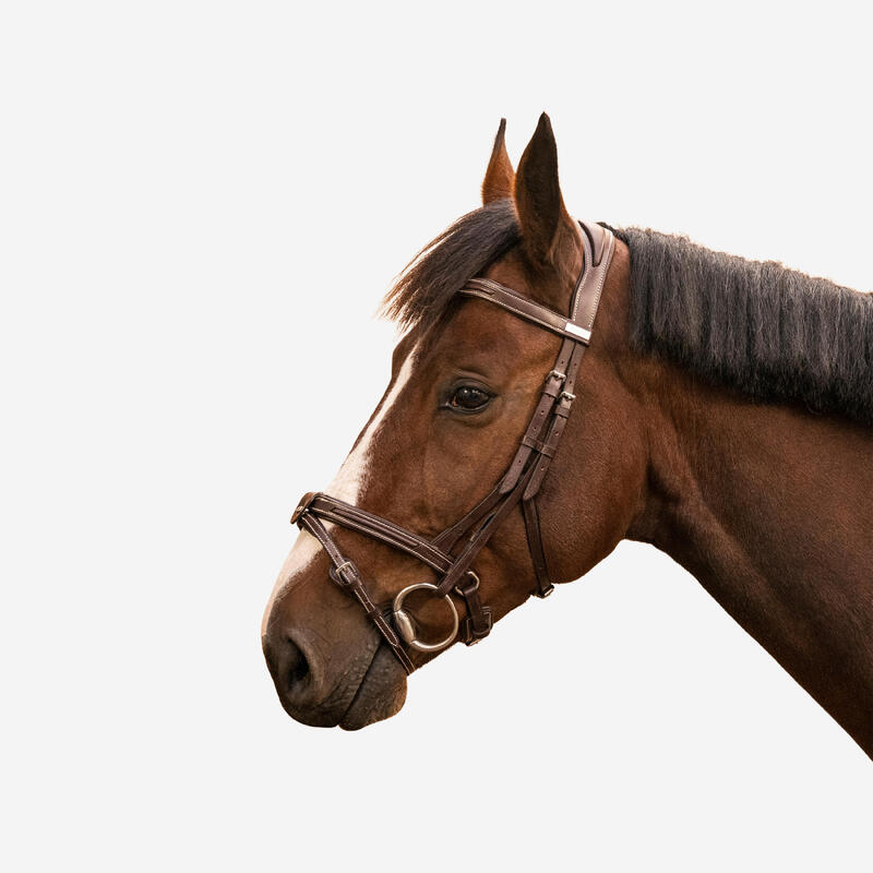Testiera equitazione cavallo e pony 900 cuoio capezzina francese marrone