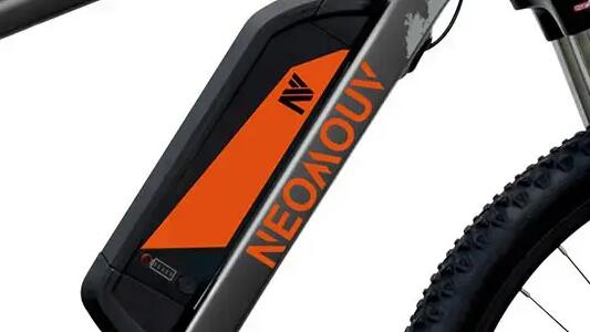 Bicicleta Eléctrica MTB Neomouv ENARA