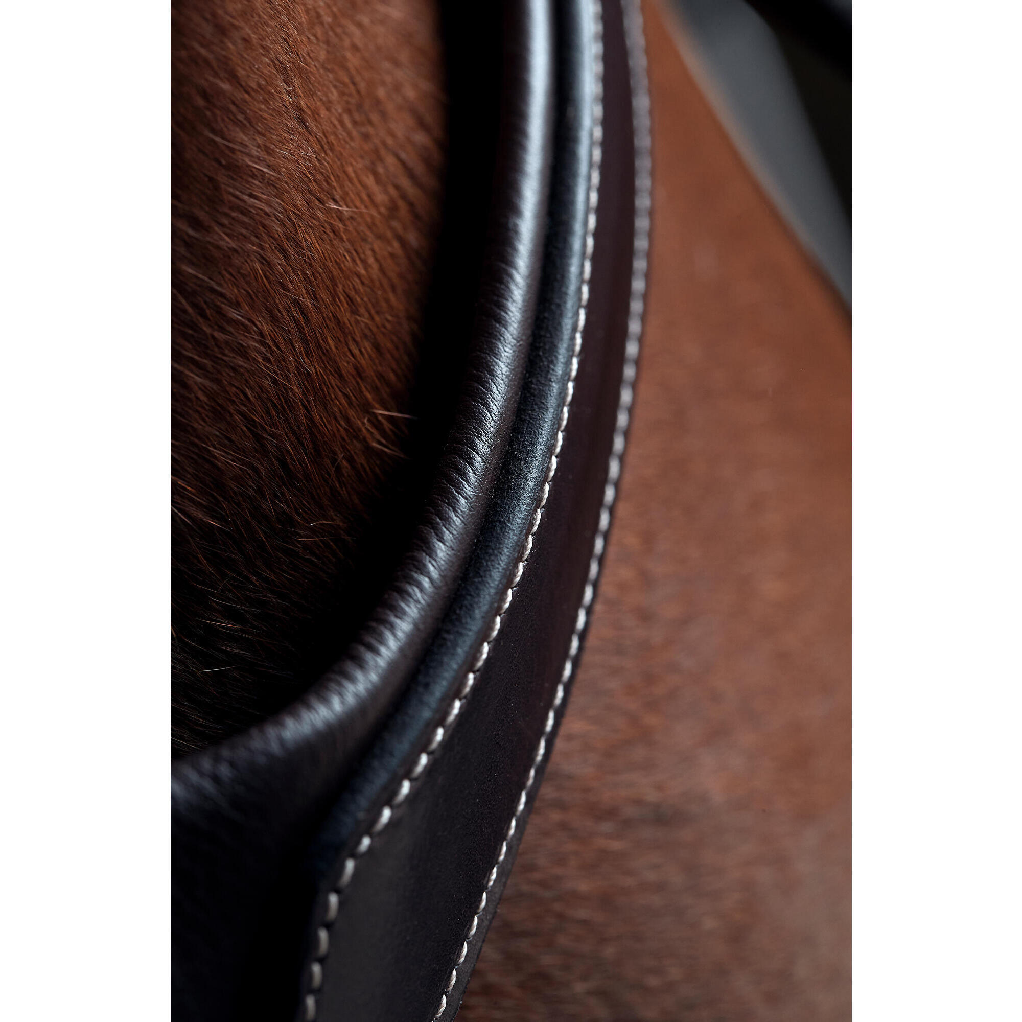 5-point horse and pony collar - dark brown