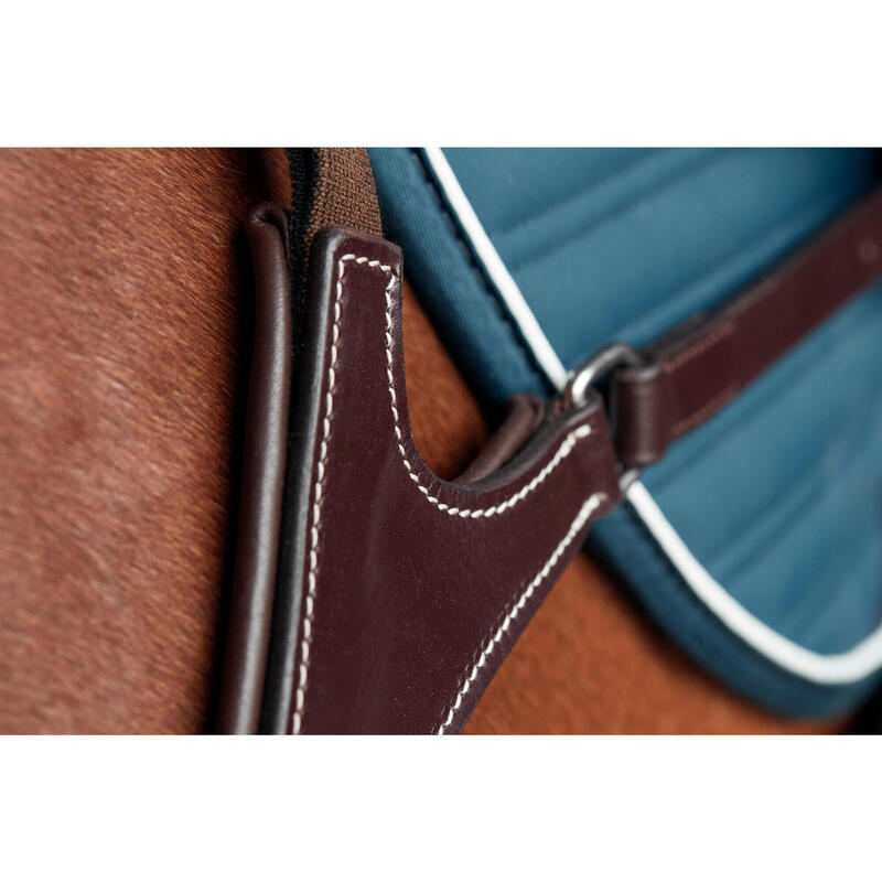 Collier de chasse 5 points Cheval et Poney - marron foncé