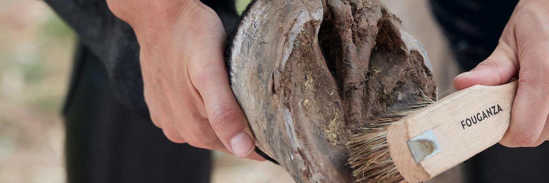 pourquoi-et-comment-curer-les-pieds-de-son-cheval