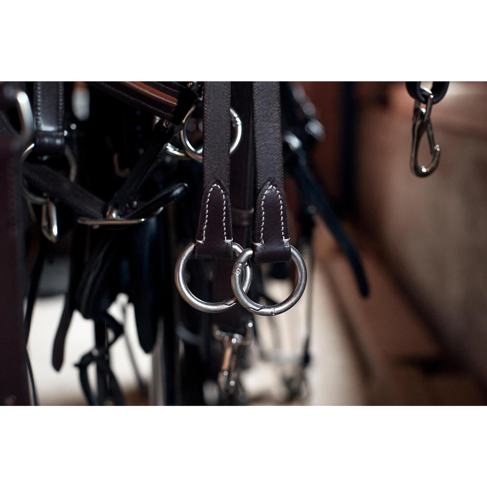 Attache Martingale CWD Running Couleur Havane Marron Foncé - Équitation, Occasion