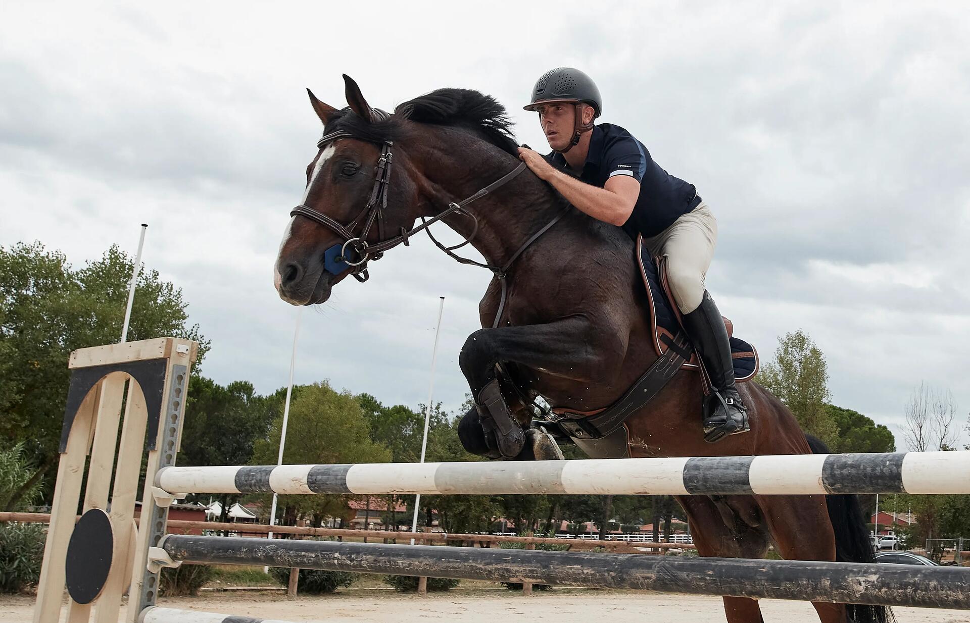 Est ce que l'équitation est un sport ? 