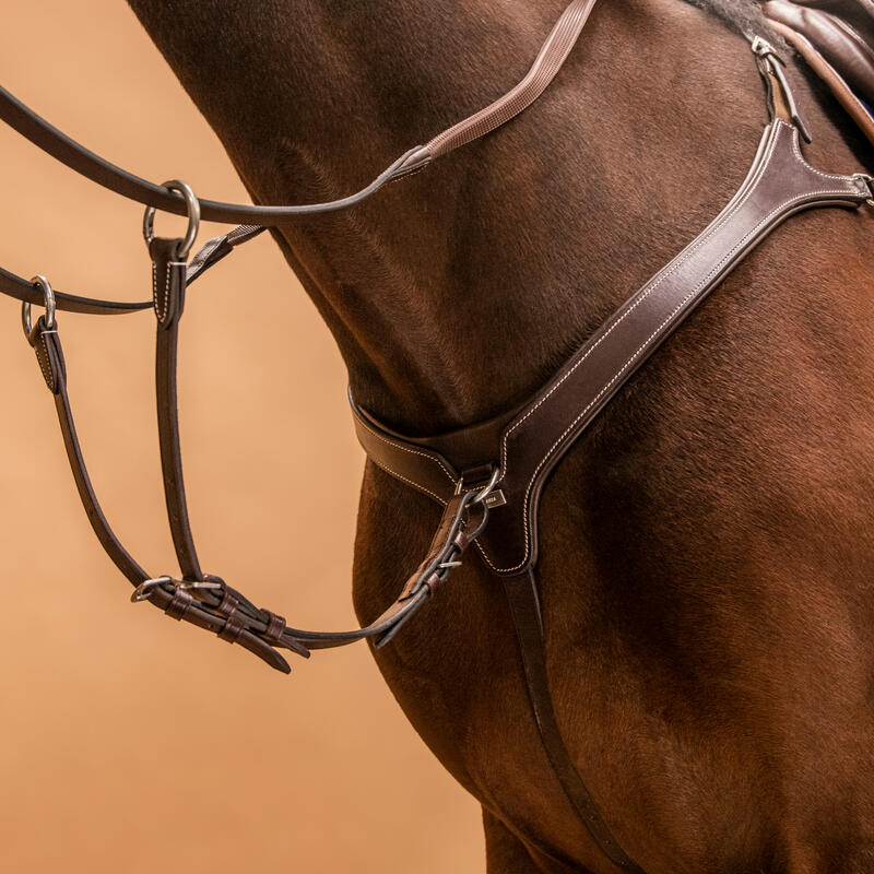 Peitoral-Gamarra de Equitação para Cavalo e Pónei 5 Pontos Castanho Escuro