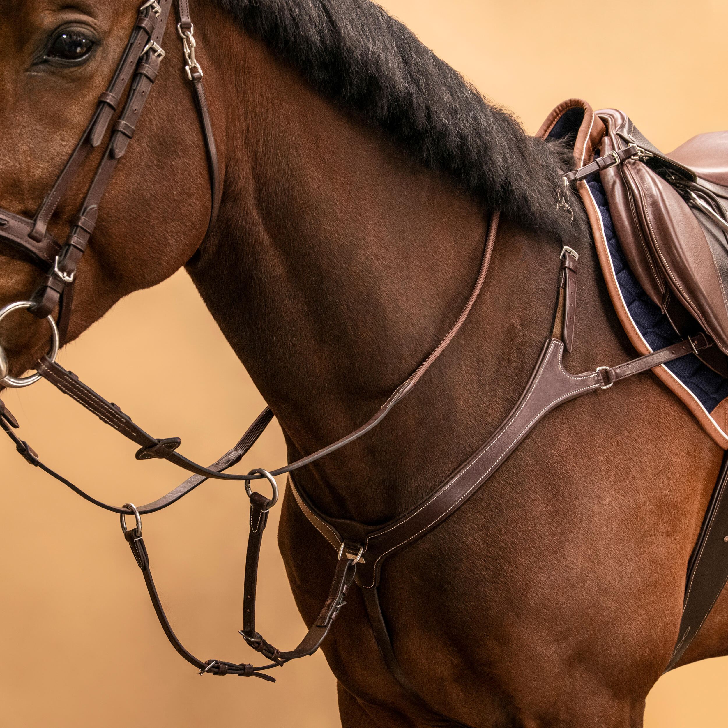 5-Point Hunting Martingale for Horse & Pony - Dark Brown 2/9