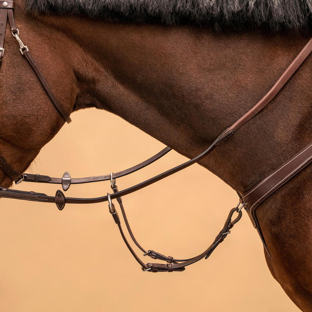 5-Point Hunting Martingale for Horse & Pony - Dark Brown