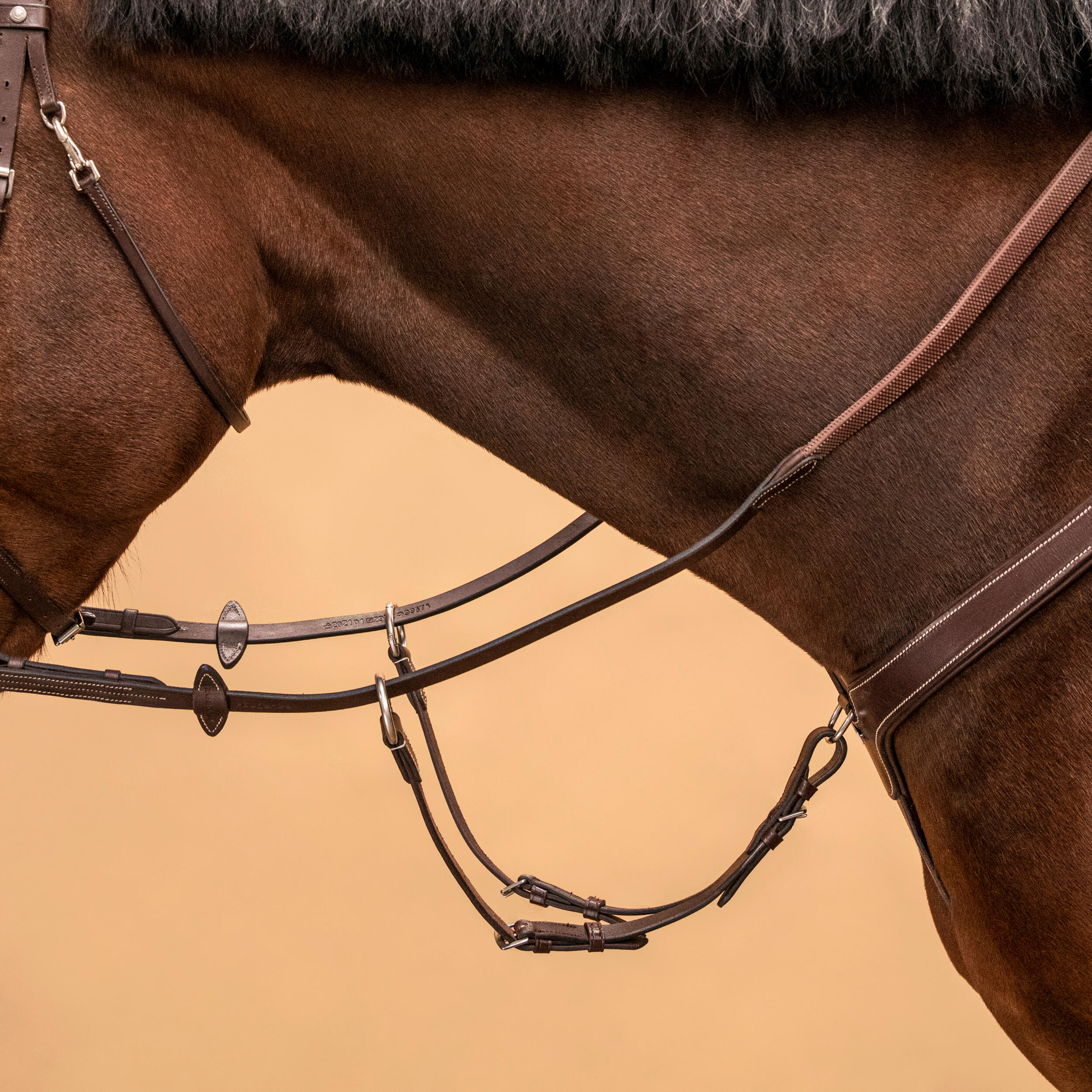 ANATOMICA MARTINGALE DARK BROWN 48 Breastplates \u0026 Martingales \u2013 Dapper Horse