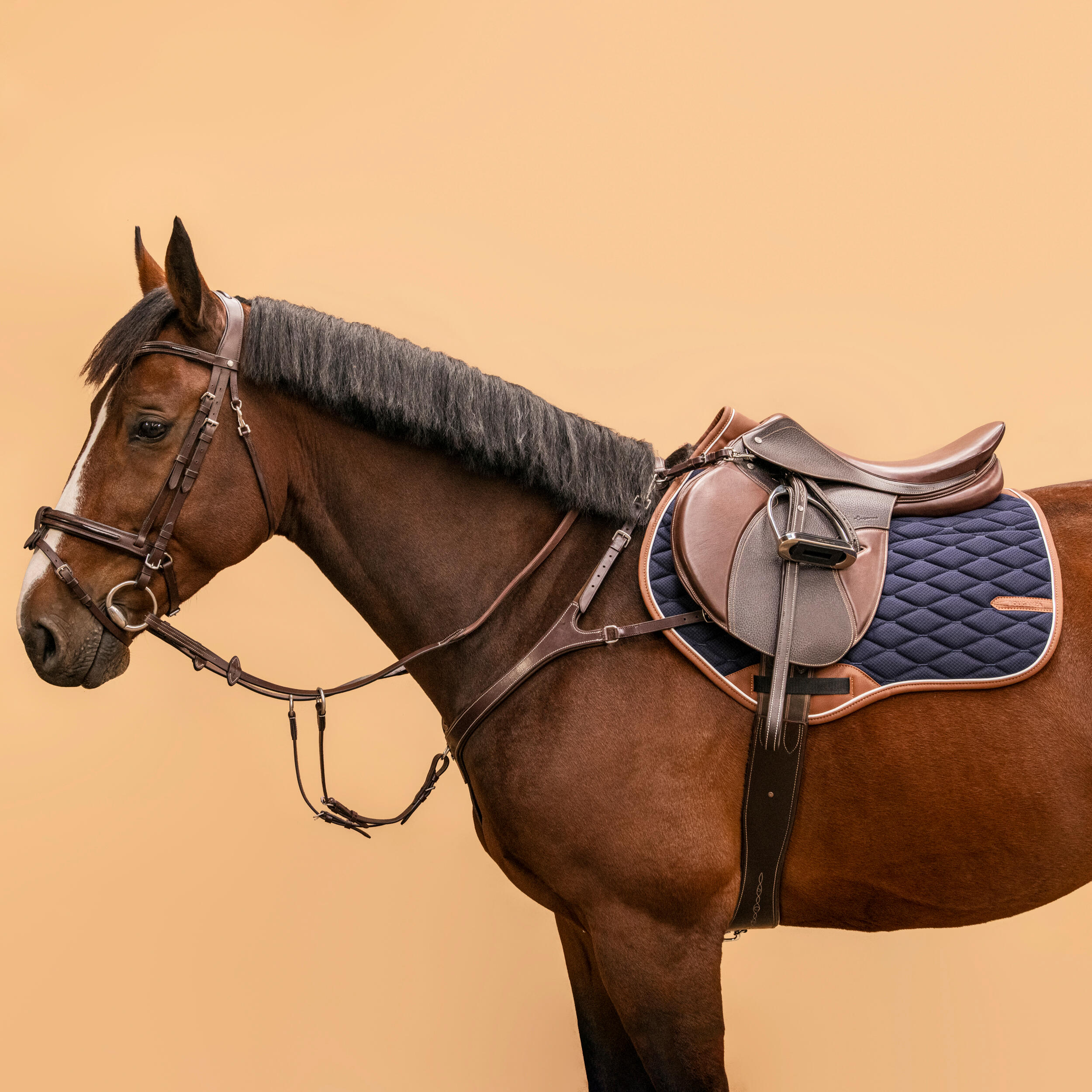 5-Point Hunting Martingale for Horse & Pony - Dark Brown 1/9