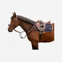 Collier de chasse cheval et poney 5 points marron foncé