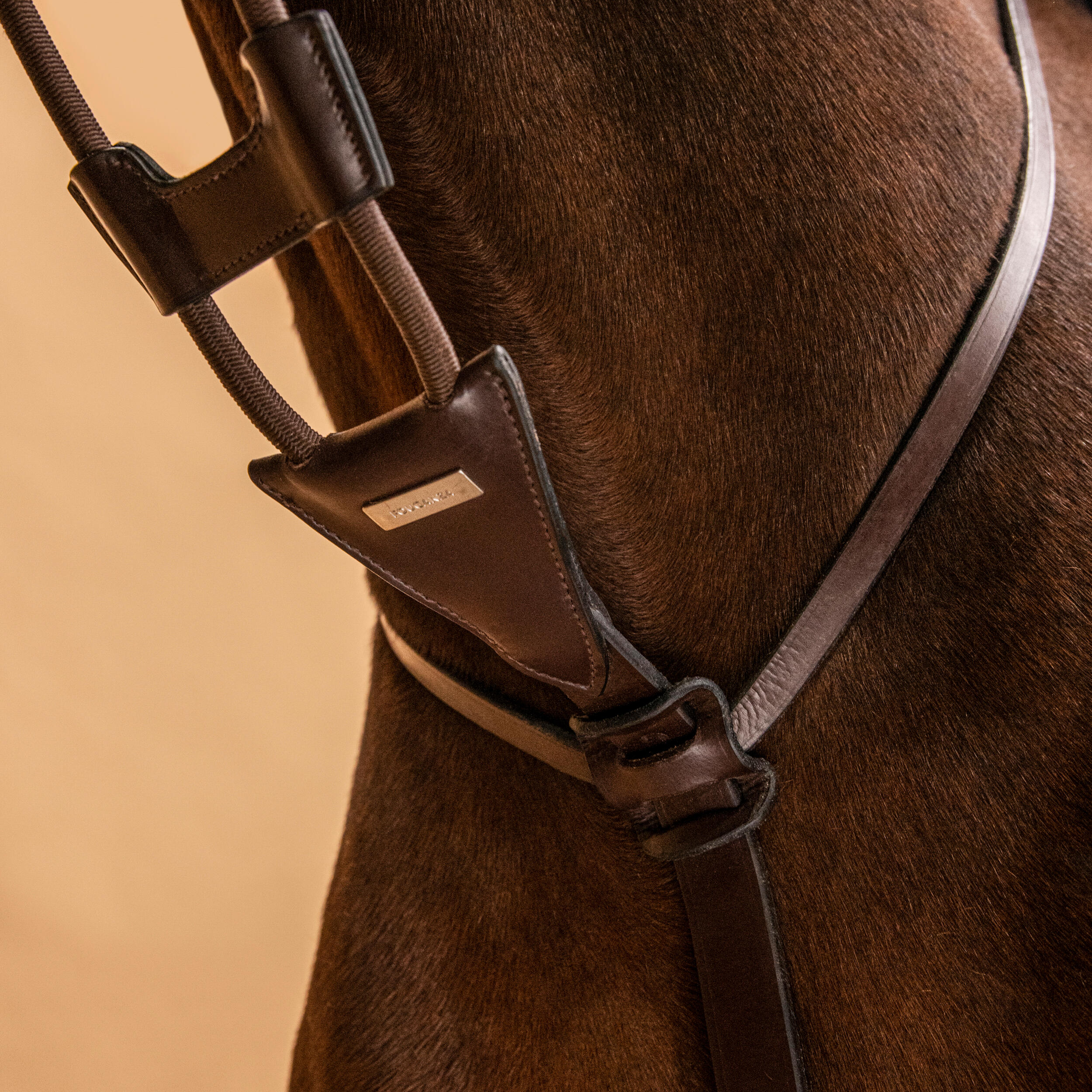 Elasticated Martingale for Horse & Pony - Dark Brown FOUGANZA | Decathlon