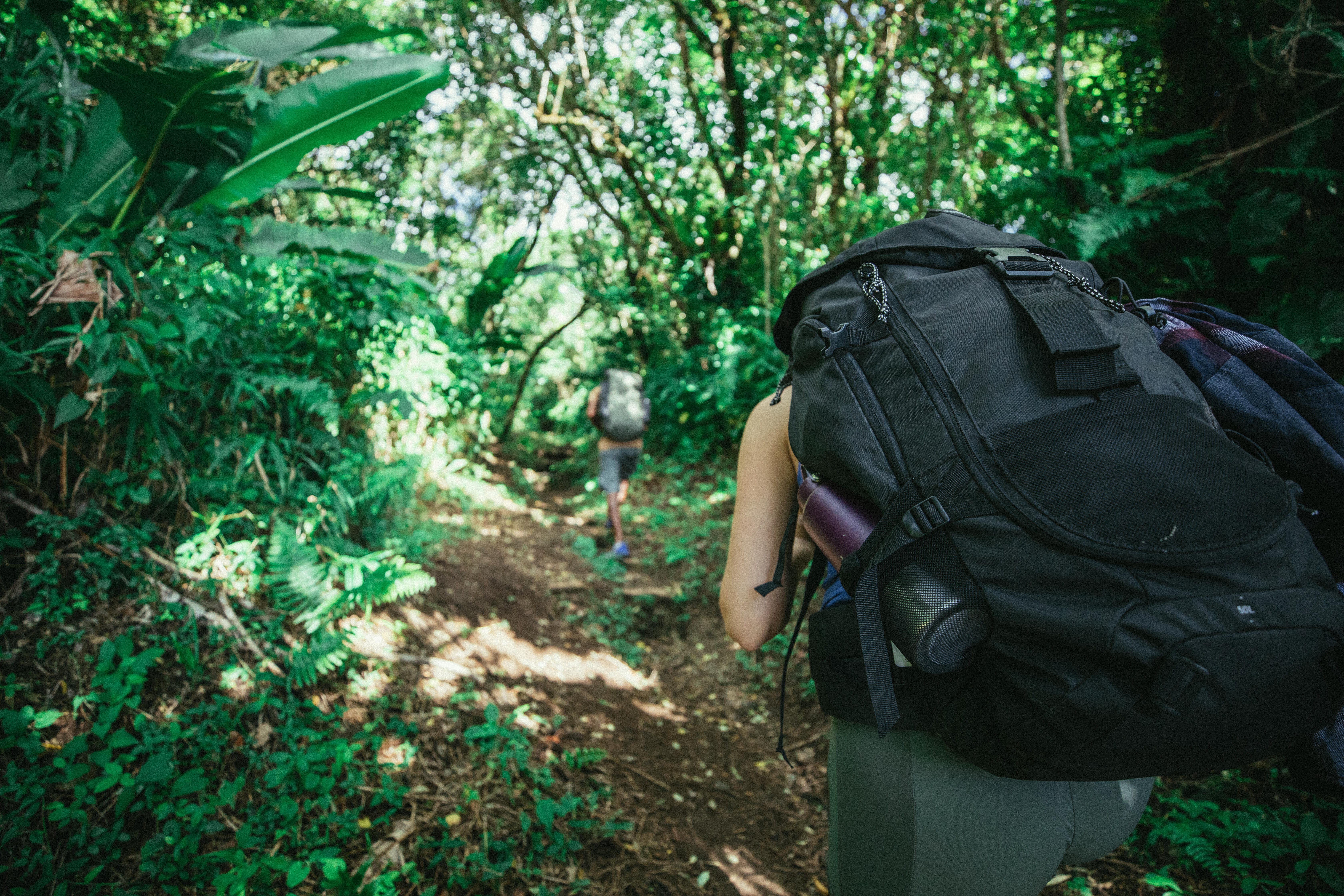 Hiking Backpack 50 L - Travel 100 - SIMOND