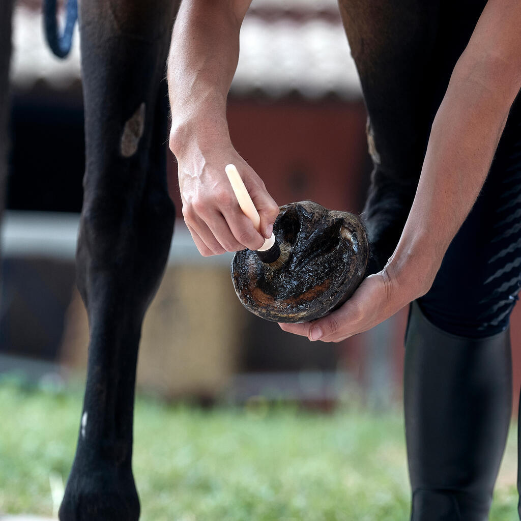 Natural Hoof Grease for Horse and Pony Top Ointment 750 ml - Blond