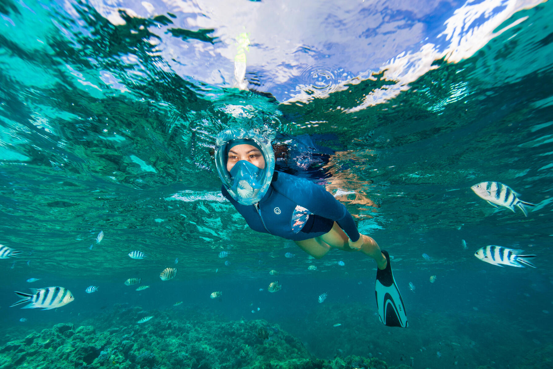 snorkeling