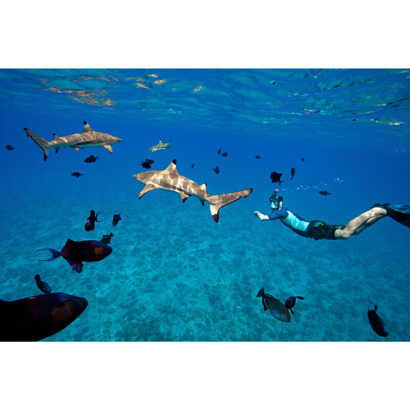 Maschera snorkeling immersione adulto EASYBREATH 900 blu