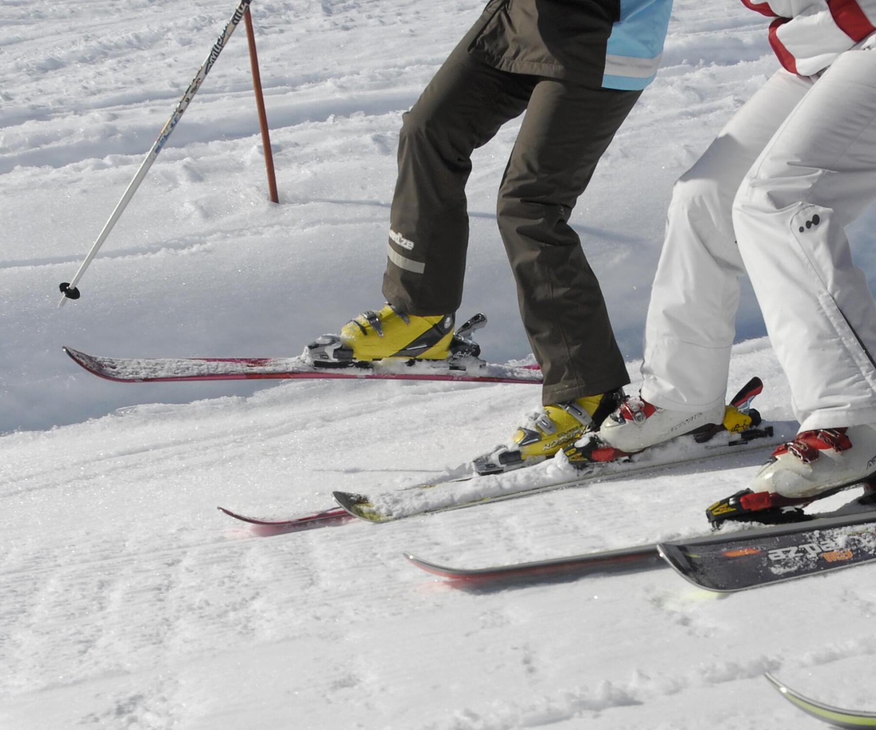 DEINE NO WAX ALPINSKI PFLEGEN