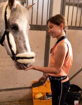 Soin du cheval