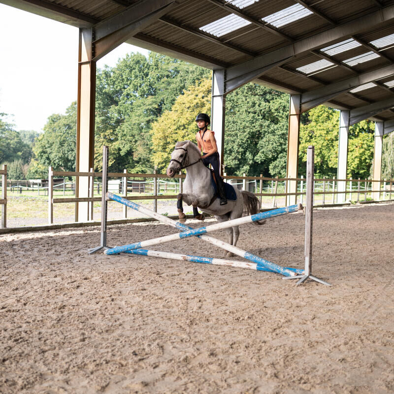 Equitation