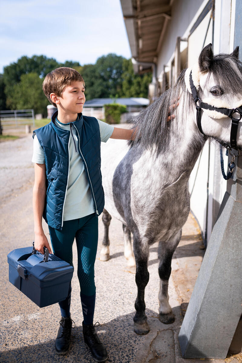 Mallette de pansage équitation 300 bleu/gris