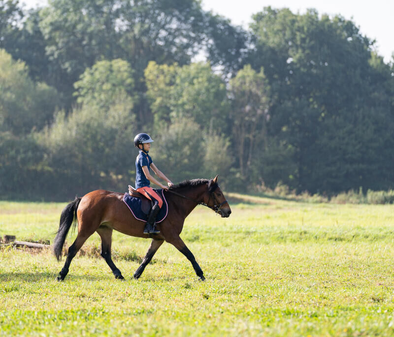 kid horseback riding in a field
