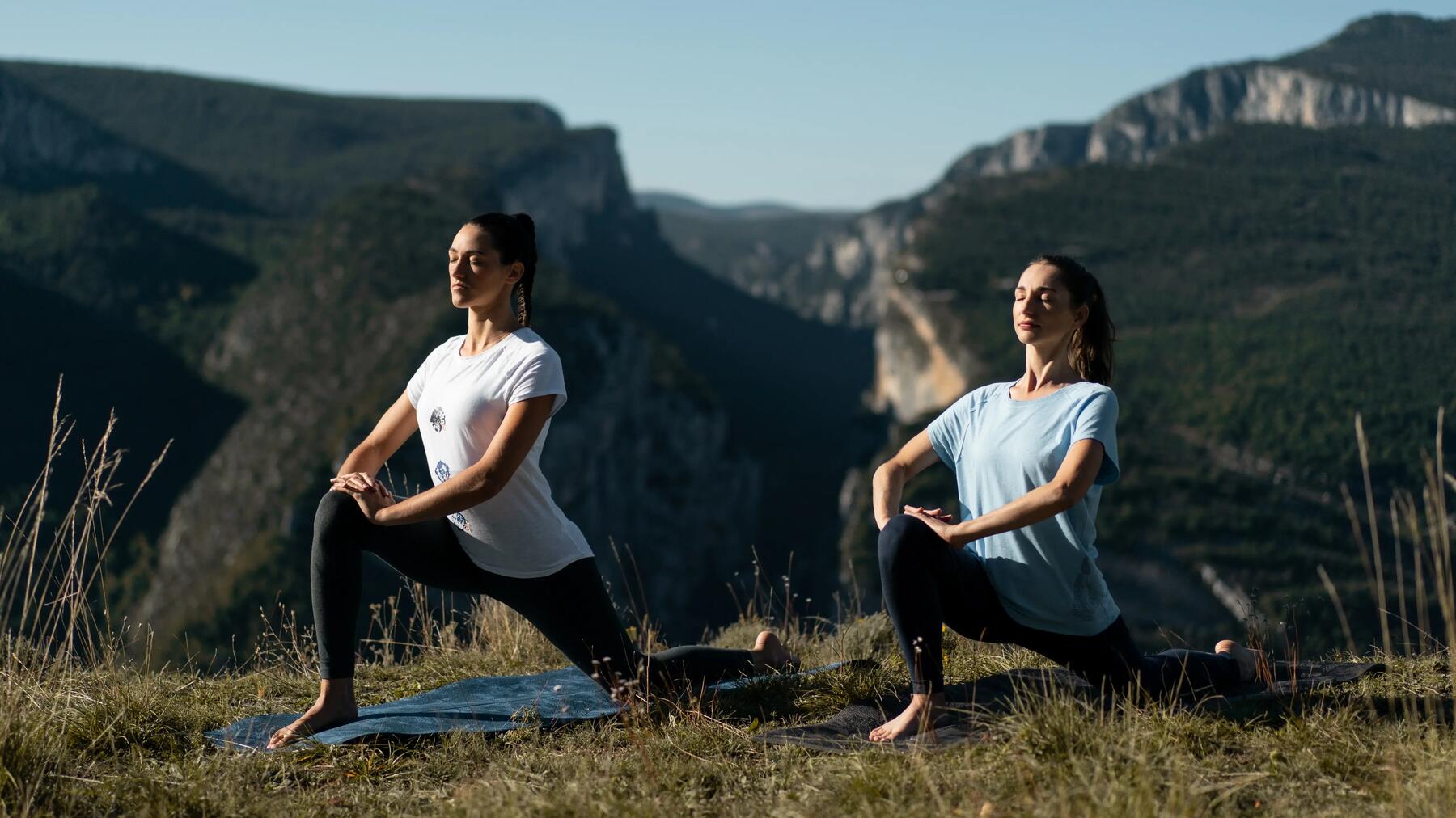 aps kundalini